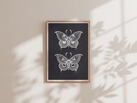 Image 2 of 2 ORNAMENTAL BUTTERFLIES 