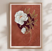 Image 1 of PEONY
