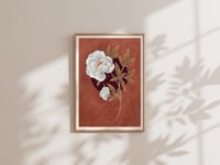 Image 4 of PEONY