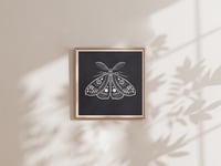 Image 2 of MOTH