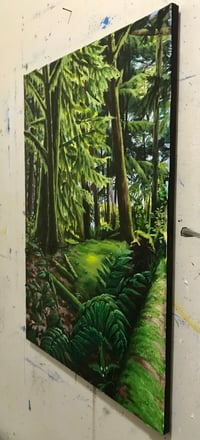 Image 3 of The Shades of Spring