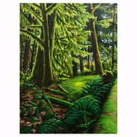 Image 1 of The Shades of Spring