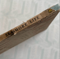 Image 3 of Seashore Life and Pattern (A)