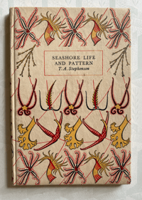 Image 1 of Seashore Life and Pattern (B)