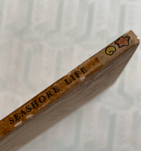 Image 2 of Seashore Life and Pattern (C)