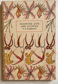 Image 1 of Seashore Life and Pattern (C)