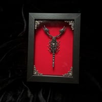 Heterometrus Cyaneus Scorpion - Red