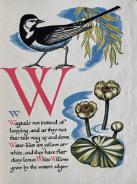 Image 4 of Nature's ABC by Eileen Mayo