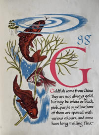 Image 5 of Nature's ABC by Eileen Mayo