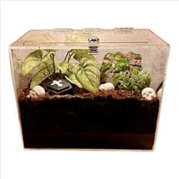 Image 6 of Coffin Hides