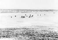 Image 1 of Simon Vansteenwinckel - Aux Ombres 18