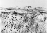 Image 1 of Simon Vansteenwinckel - Aux Ombres 20