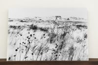 Image 2 of Simon Vansteenwinckel - Aux Ombres 20