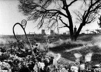 Image 1 of Simon Vansteenwinckel - Aux Ombres 21