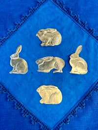 Image 3 of Wild Hare 