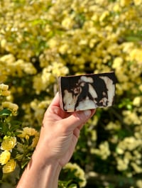 Image 2 of Wild Hare 