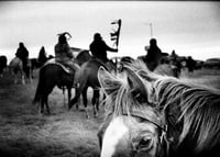 Image 1 of Simon Vansteenwinckel - Aux Ombres 29