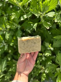 Image 2 of Green Fuse 