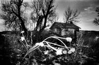 Image 1 of Simon Vansteenwinckel - Aux Ombres 31