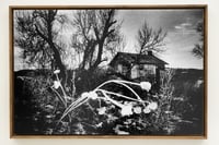 Image 2 of Simon Vansteenwinckel - Aux Ombres 31