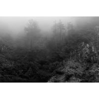 Big Sur Fog by Erik Lee Snyder