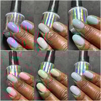 Image 2 of Solidarity Spring 2026