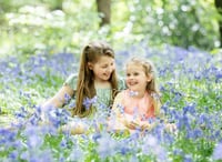 Bluebell Mini Shoot 2026 - Booking Fee ONLY