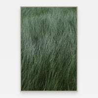 Image 1 of 'Myra' – Giclée-trykk på høykvalitets syrefritt papir