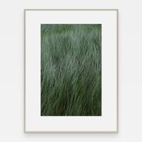 Image 2 of 'Myra' – Giclée-trykk på høykvalitets syrefritt papir