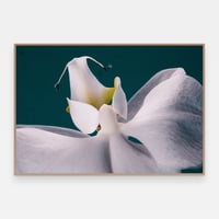 Image 1 of 'Ork' – Giclée-trykk på høykvalitets syrefritt papir