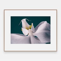 Image 2 of 'Ork' – Giclée-trykk på høykvalitets syrefritt papir