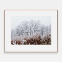 Image 2 of 'Rimelig' – Giclée-trykk på høykvalitets syrefritt papir