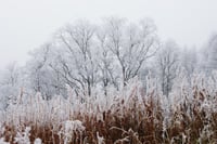 Image 3 of 'Rimelig' – Giclée-trykk på høykvalitets syrefritt papir