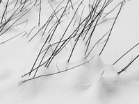 Image 3 of 'Minus' – Giclée-trykk på høykvalitets syrefritt papir