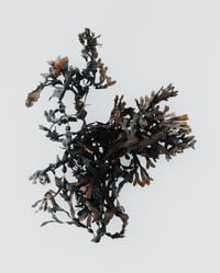 Image 3 of 'Tang En' – Giclée-trykk på høykvalitets syrefritt papir