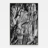 Image 1 of 'Tørr' – Giclée-trykk på høykvalitets syrefritt papir