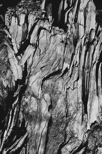 Image 3 of 'Tørr' – Giclée-trykk på høykvalitets syrefritt papir