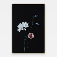 Image 1 of 'Unatur' – Giclée-trykk på høykvalitets syrefritt papir