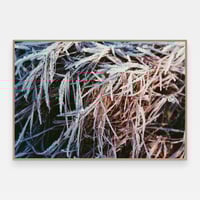 Image 1 of 'Krystall' – Giclée-trykk på høykvalitets syrefritt papir