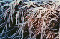 Image 3 of 'Krystall' – Giclée-trykk på høykvalitets syrefritt papir