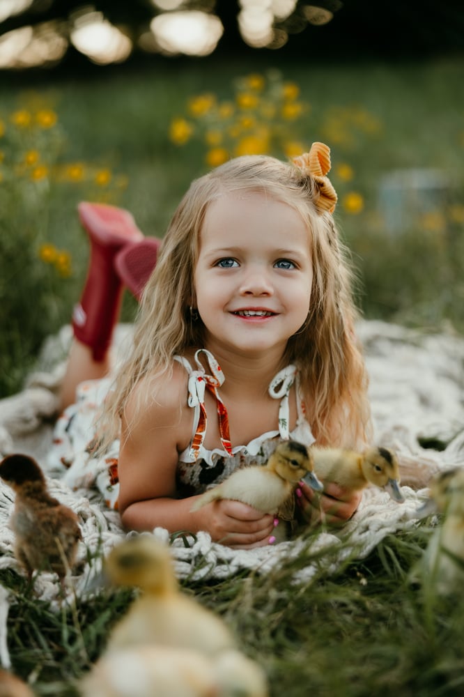 Image of Ducklings & Daisies 