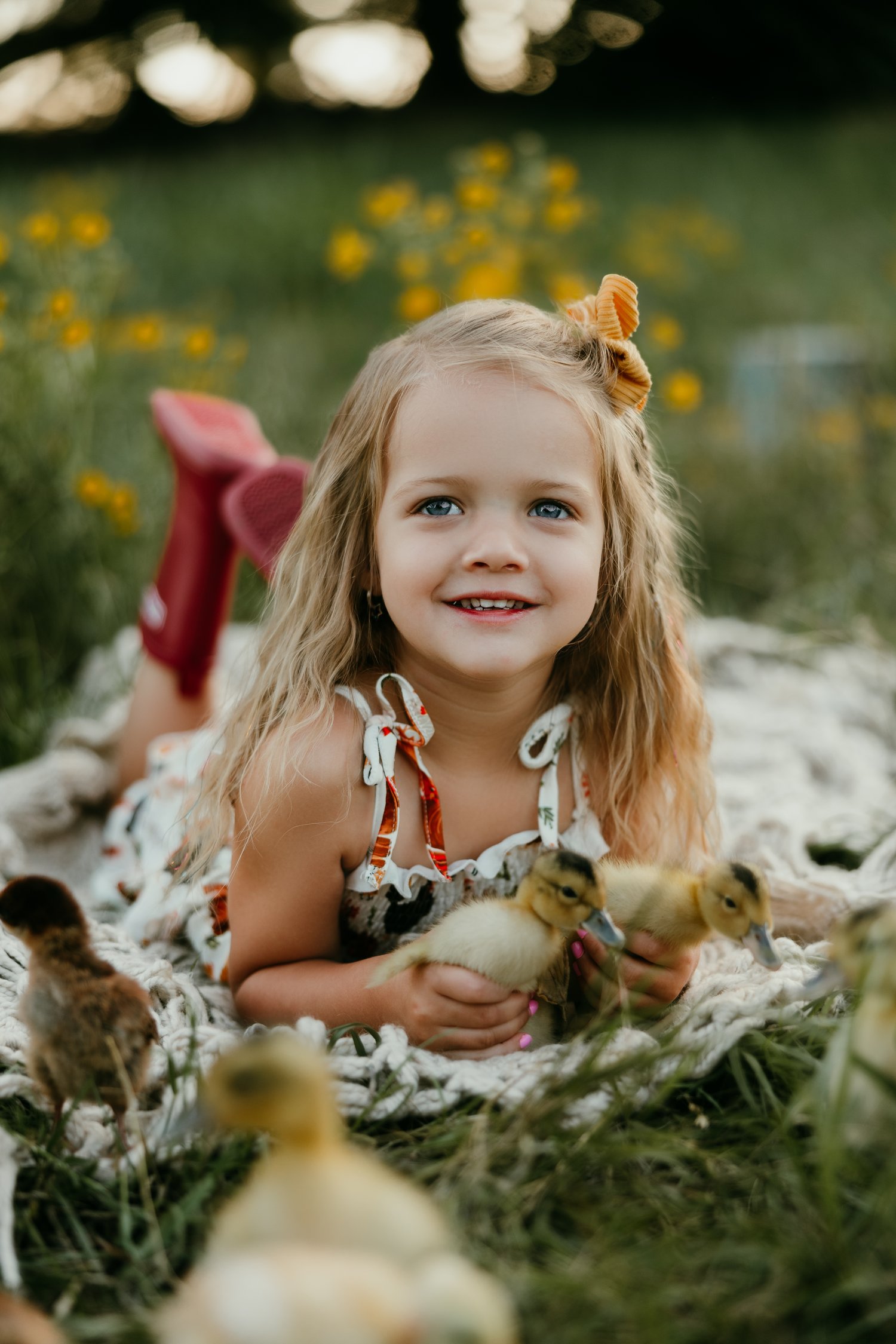 Image of Ducklings & Daisies 