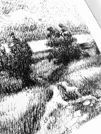 Image 3 of After the Rain, ink on paper/ series of artworks: August