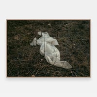 Image 1 of 'Gjenganger' – Giclée-trykk på høykvalitets syrefritt papir