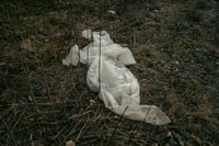 Image 3 of 'Gjenganger' – Giclée-trykk på høykvalitets syrefritt papir