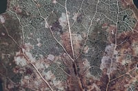 Image 3 of 'Kart' – Giclée-trykk på høykvalitets syrefritt papir