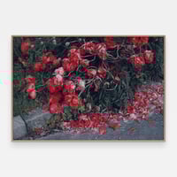 Image 1 of 'Avkledd'  – Giclée-trykk på høykvalitets syrefritt papir