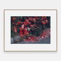 Image 2 of 'Avkledd'  – Giclée-trykk på høykvalitets syrefritt papir