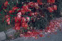 Image 3 of 'Avkledd'  – Giclée-trykk på høykvalitets syrefritt papir