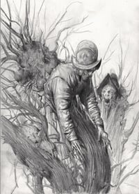 Petridied 